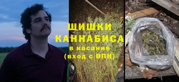 гашик Богородск