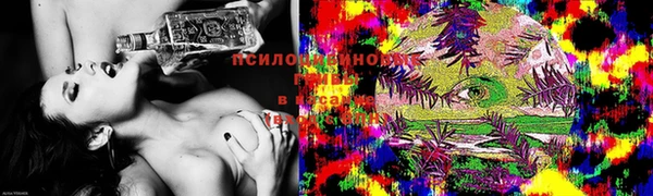 марки nbome Богданович