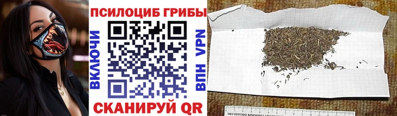 как найти закладки  площадка наркотические препараты  Псилоцибиновые грибы ЛСД  Дагестанские Огни 